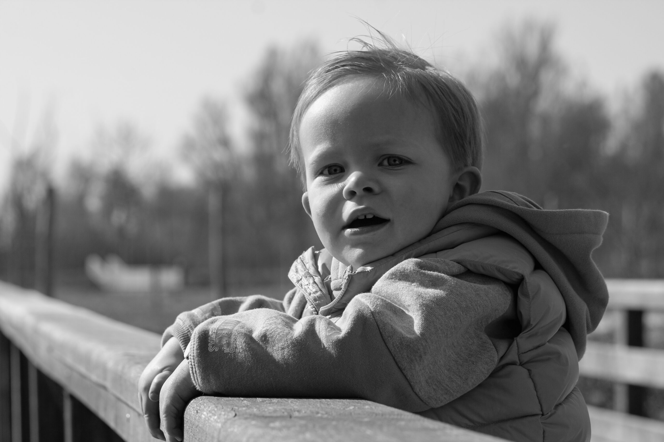 IMG_9508